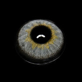 Lentillas Danica Color Gris Arena